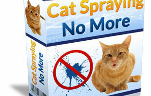 Cat Spraying No More works? See my opinion Here!